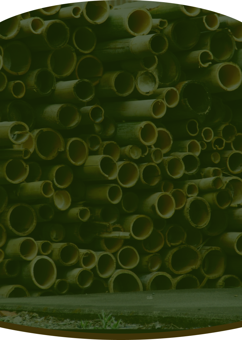 自然を活かす。人を活かす。